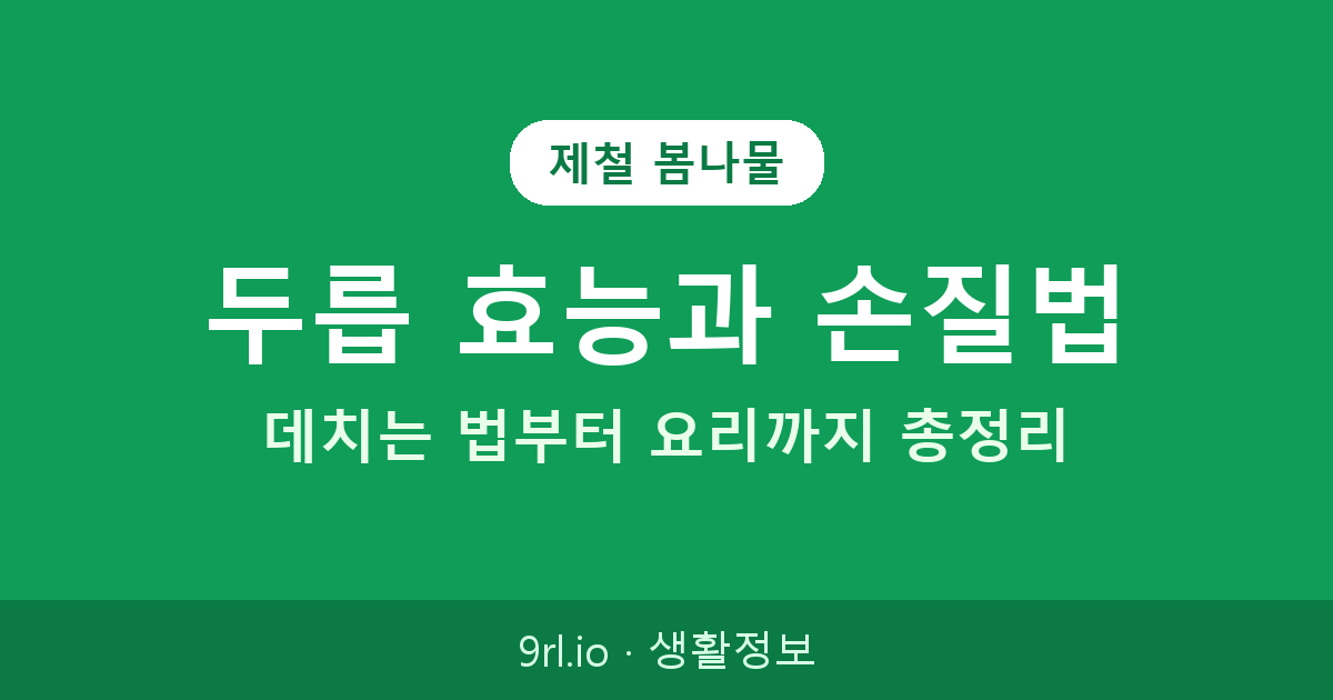두릅 효능과 손질법 총정리 — 제철 두릅 데치는 법부터 요리까지